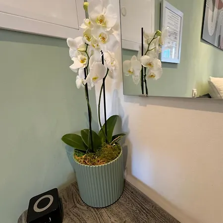 Fam. Honnef Appartamento *